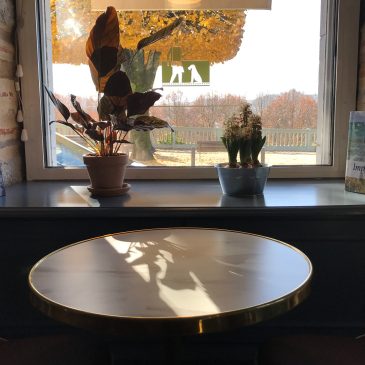 Maison Constanti - Boulevard Des Glaces - Salon de Thé - Pau - Un café avec Clémentine