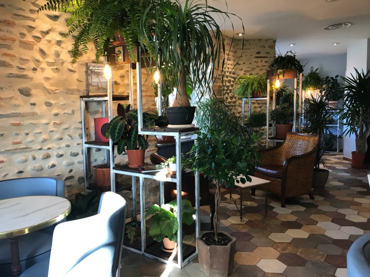 Maison Constanti - Boulevard Des Glaces - Salon de Thé - Pau - Un café avec Clémentine