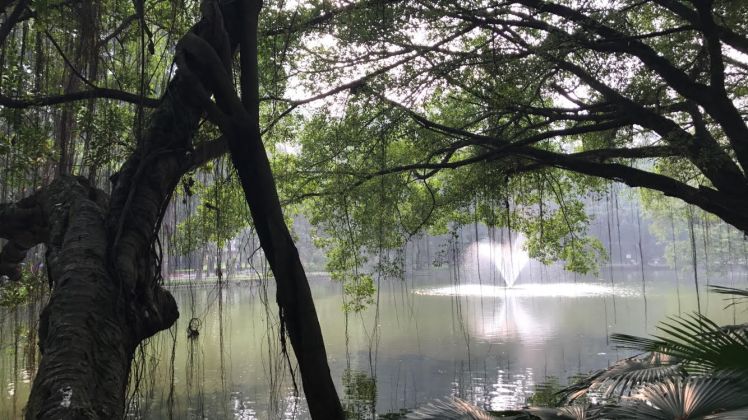 Jardin botanique HCM