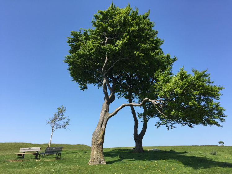 Cleeve Hill, Cotswolds