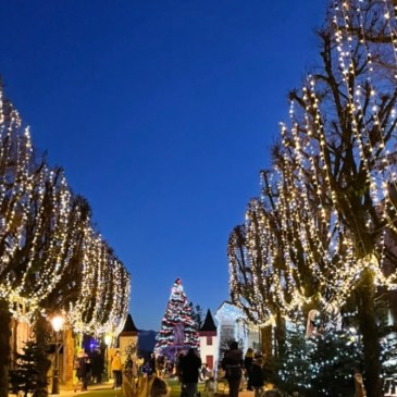 Noël à Pau, cadeau local - Blog un café avec Clémentine