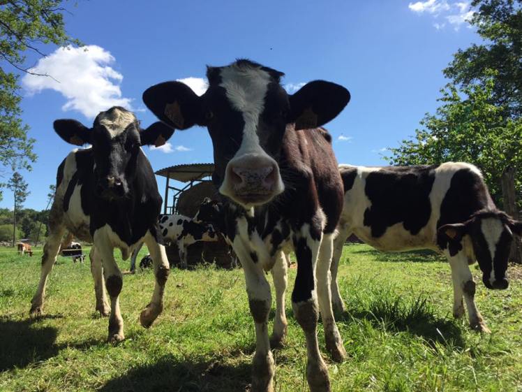 5 idées pour tirer le meilleur de l'été