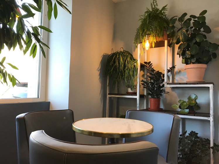 Maison Constanti - Boulevard Des Glaces - Salon de Thé - Pau - Un café avec Clémentine